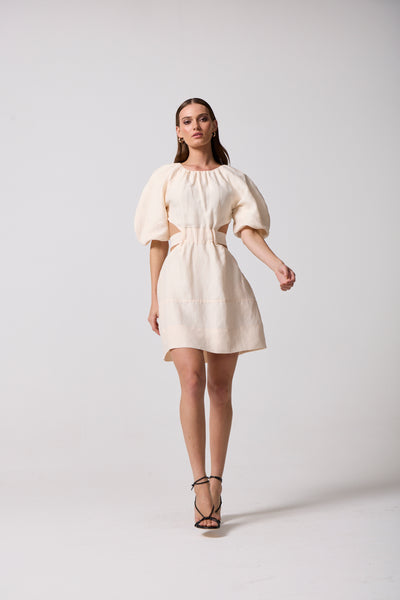 Roberta Cut Out Mini Dress