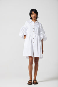 Laurie Shirt Dress
