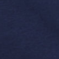 Fabric swatch 5